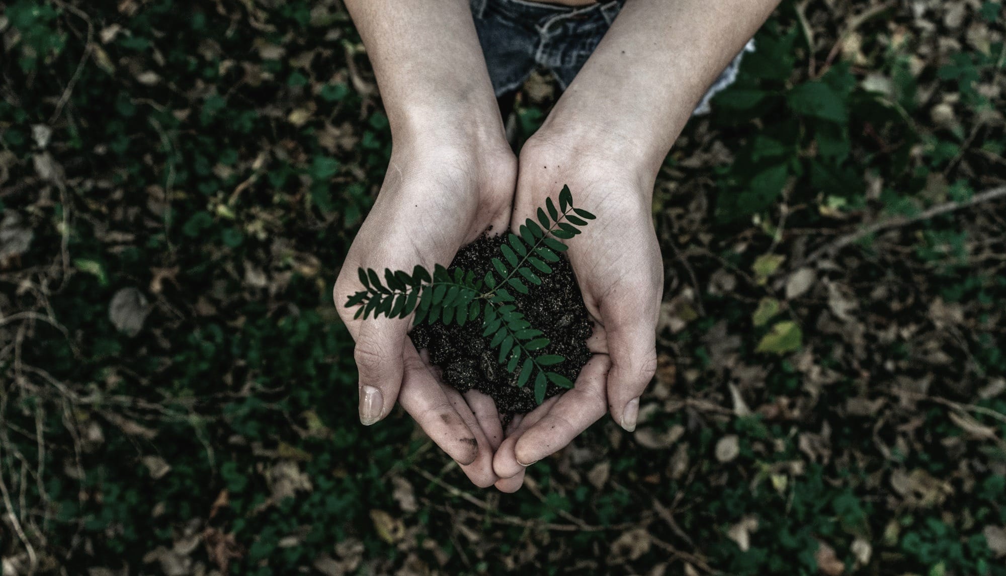 Transforming Stress into Success: Staying Grounded in High-Stress Environments